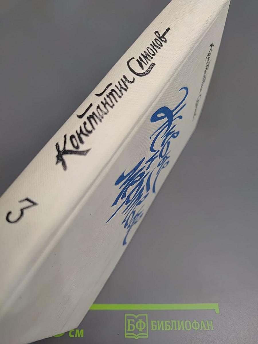 Живые и мертвые. Книга третья. Последнее лето