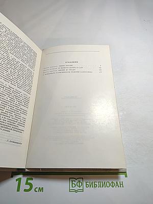 За городской стеной