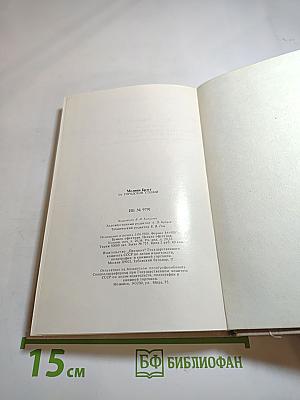 За городской стеной