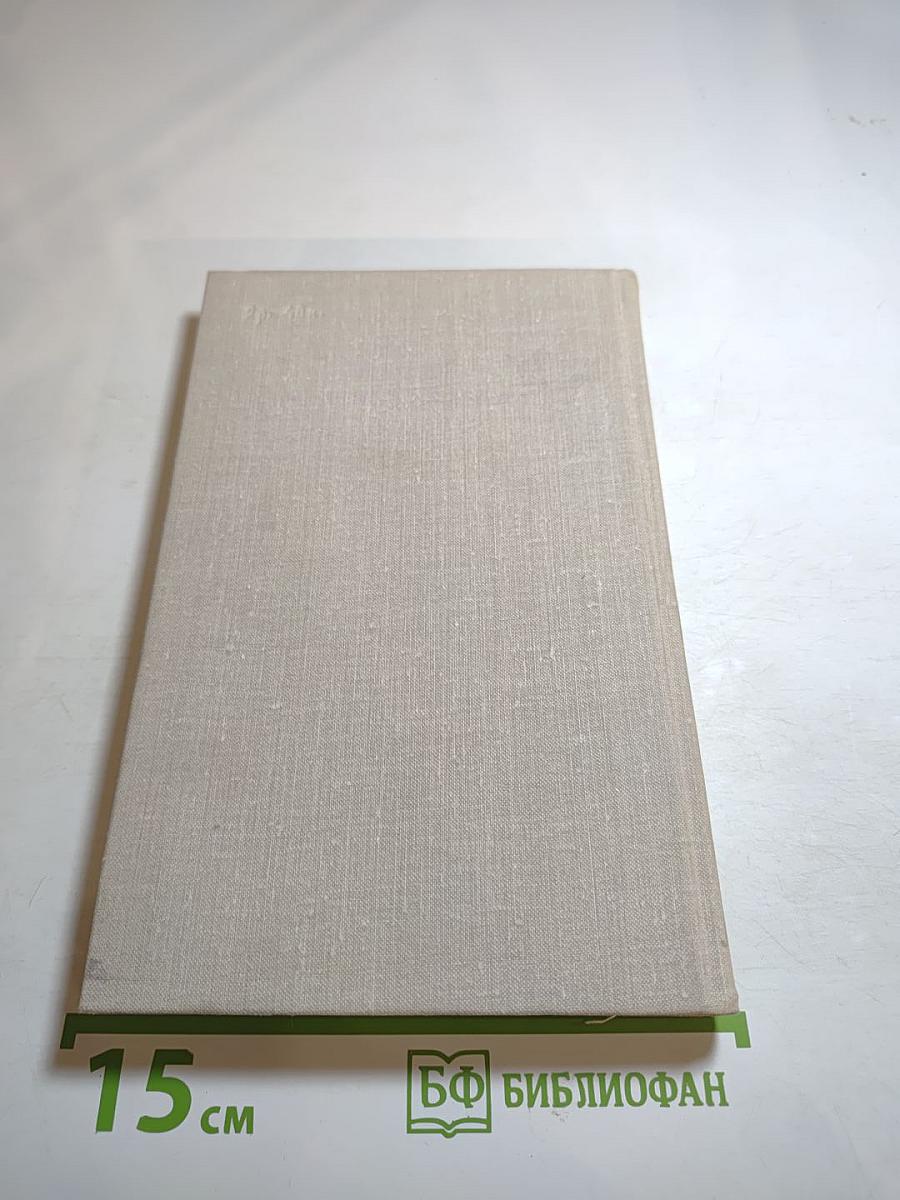 За городской стеной