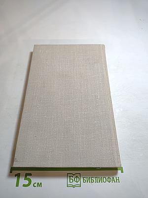 За городской стеной