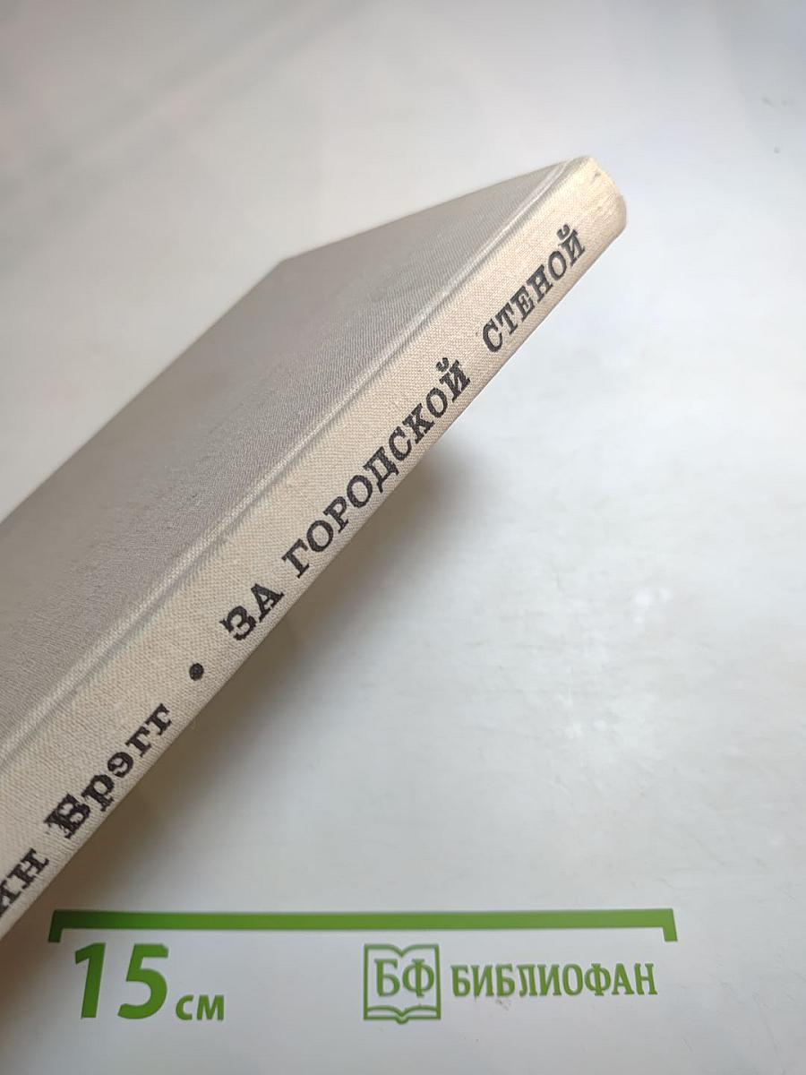 За городской стеной