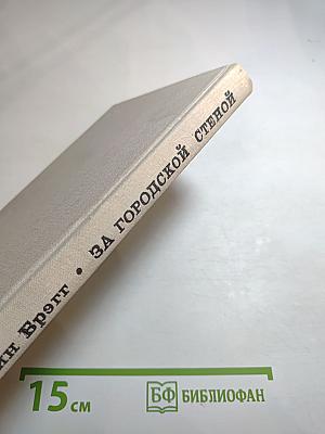 За городской стеной