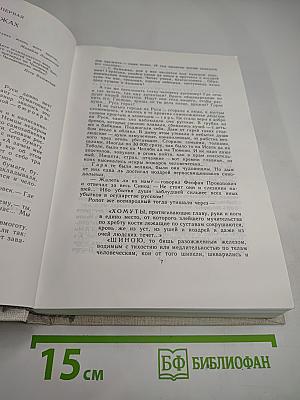 Слово и дело. Книга вторая. Мои любезные конфиденты