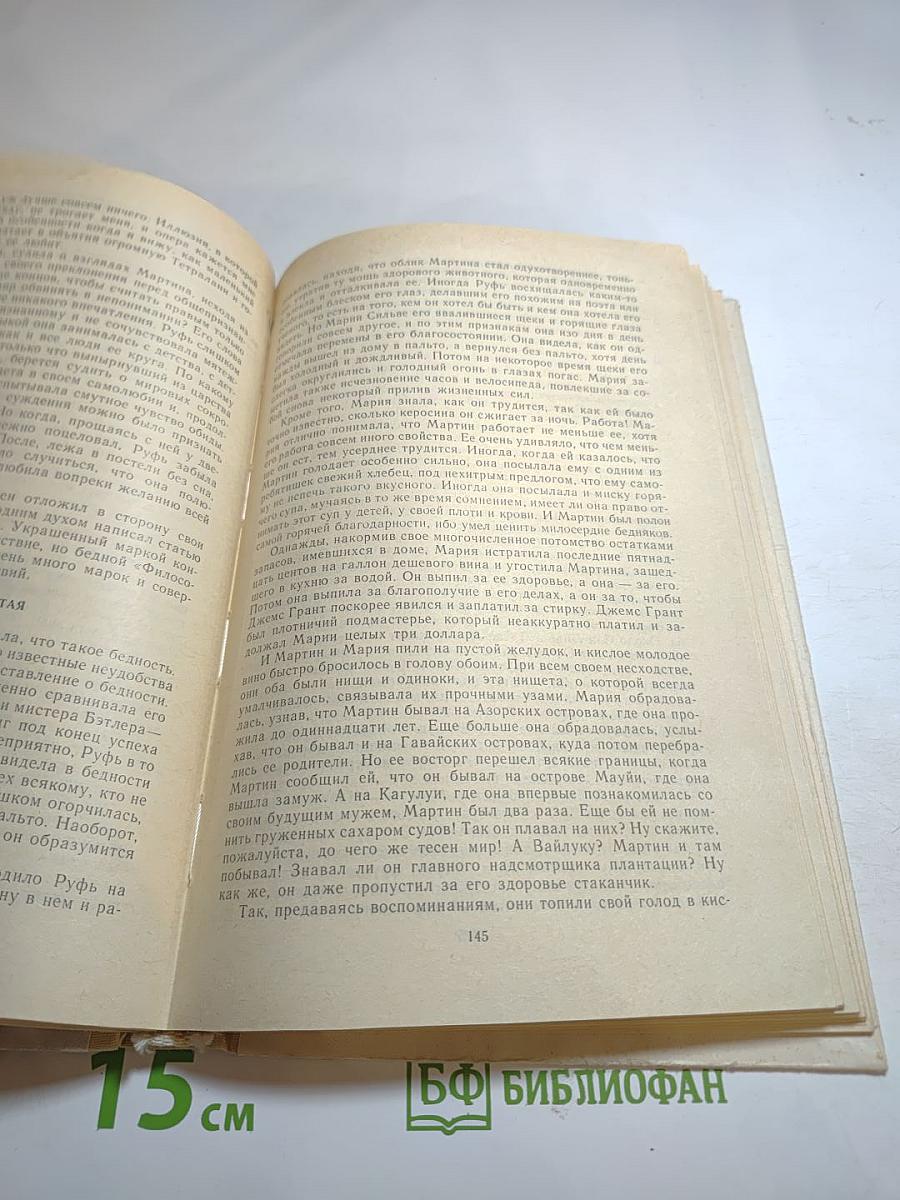 Мартин Иден