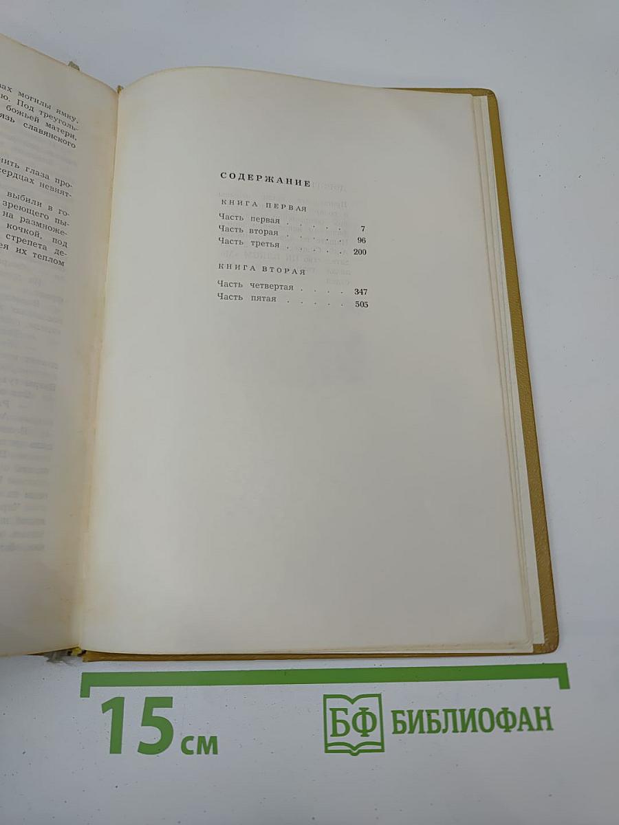 Тихий Дон. Том 1. Книги первая и вторая