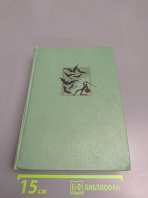 Хитроумный идальго Дон Кихот Ламанчский, Часть вторая