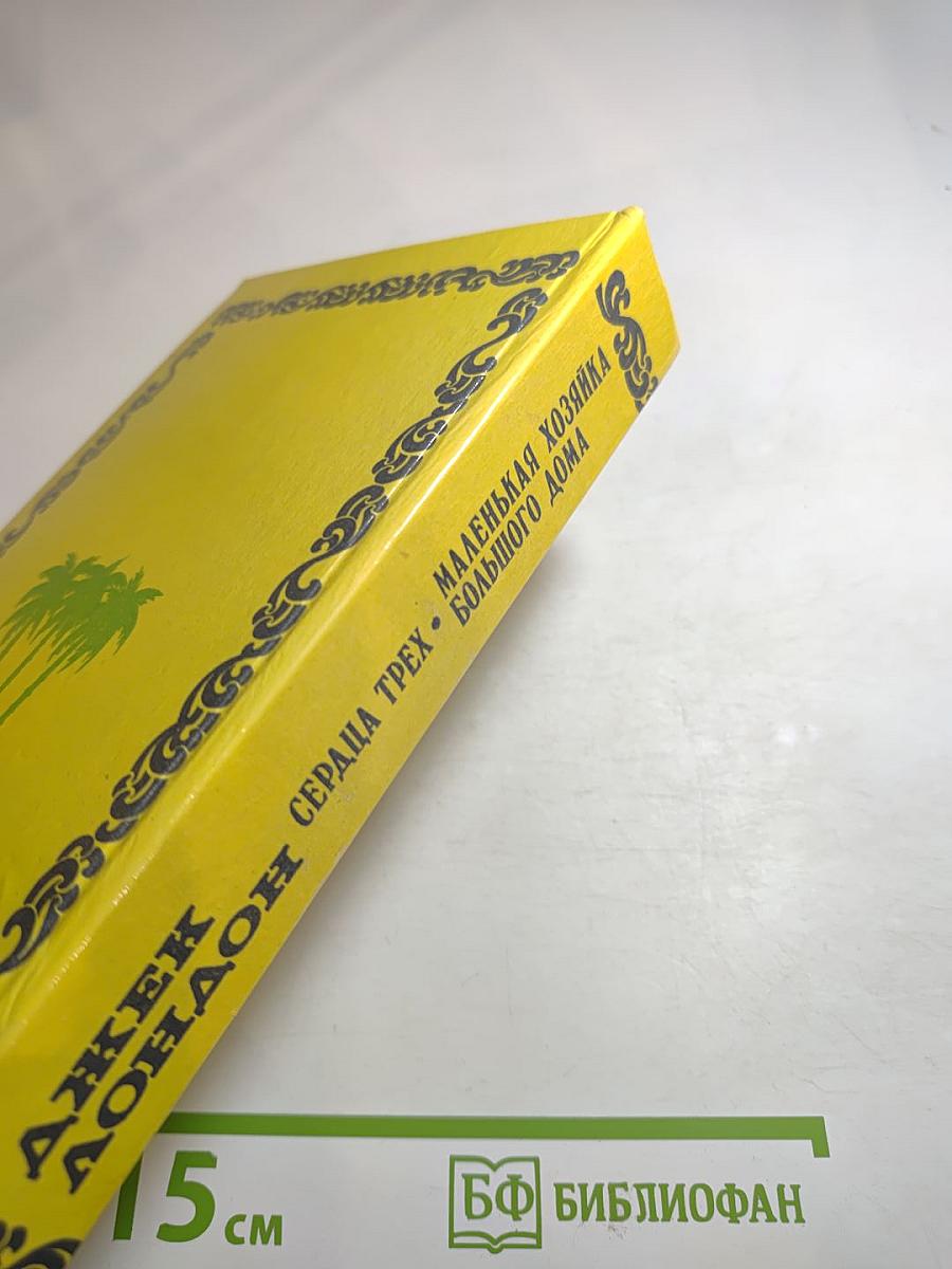 Сердца трех; Маленькая хозяйка большого дома