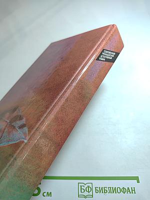 Современный французский детективный роман