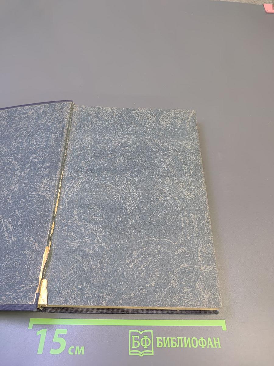 Александр Блок. Собрание сочинений. Том первый. Стихотворения. Книга первая 1898-1904