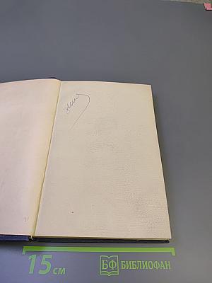 Александр Блок. Собрание сочинений. Том первый. Стихотворения. Книга первая 1898-1904