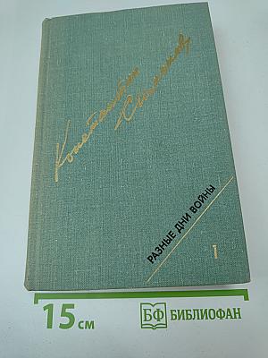 Разные дни войны. Дневник писателя. Том 1. 1941 год