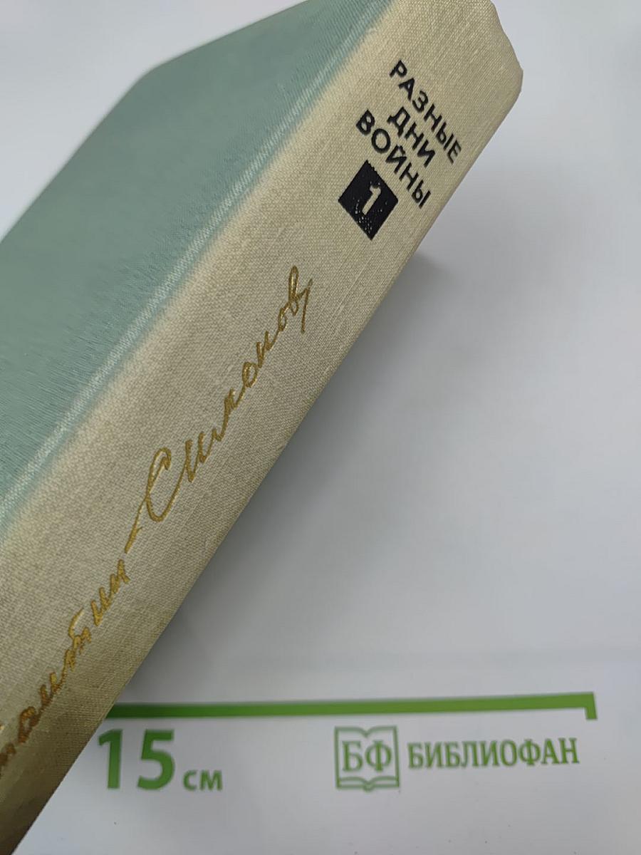Разные дни войны. Дневник писателя. Том 1. 1941 год