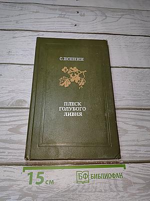 Плеск голубого ливня