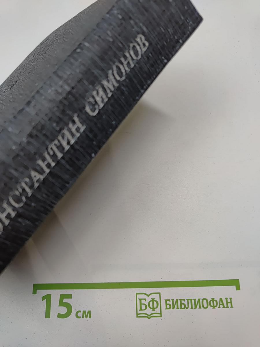 Живые и мертвые. Книга третья. Последнее лето