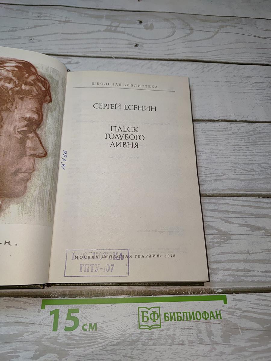 Плеск голубого ливня