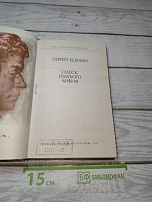 Плеск голубого ливня