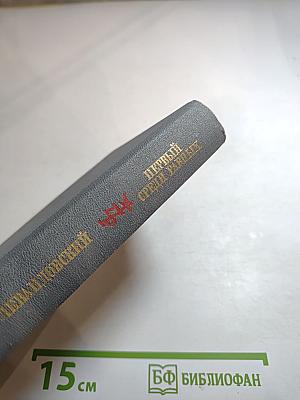 Первый среди равных. Повесть о Гракхе Бабефе