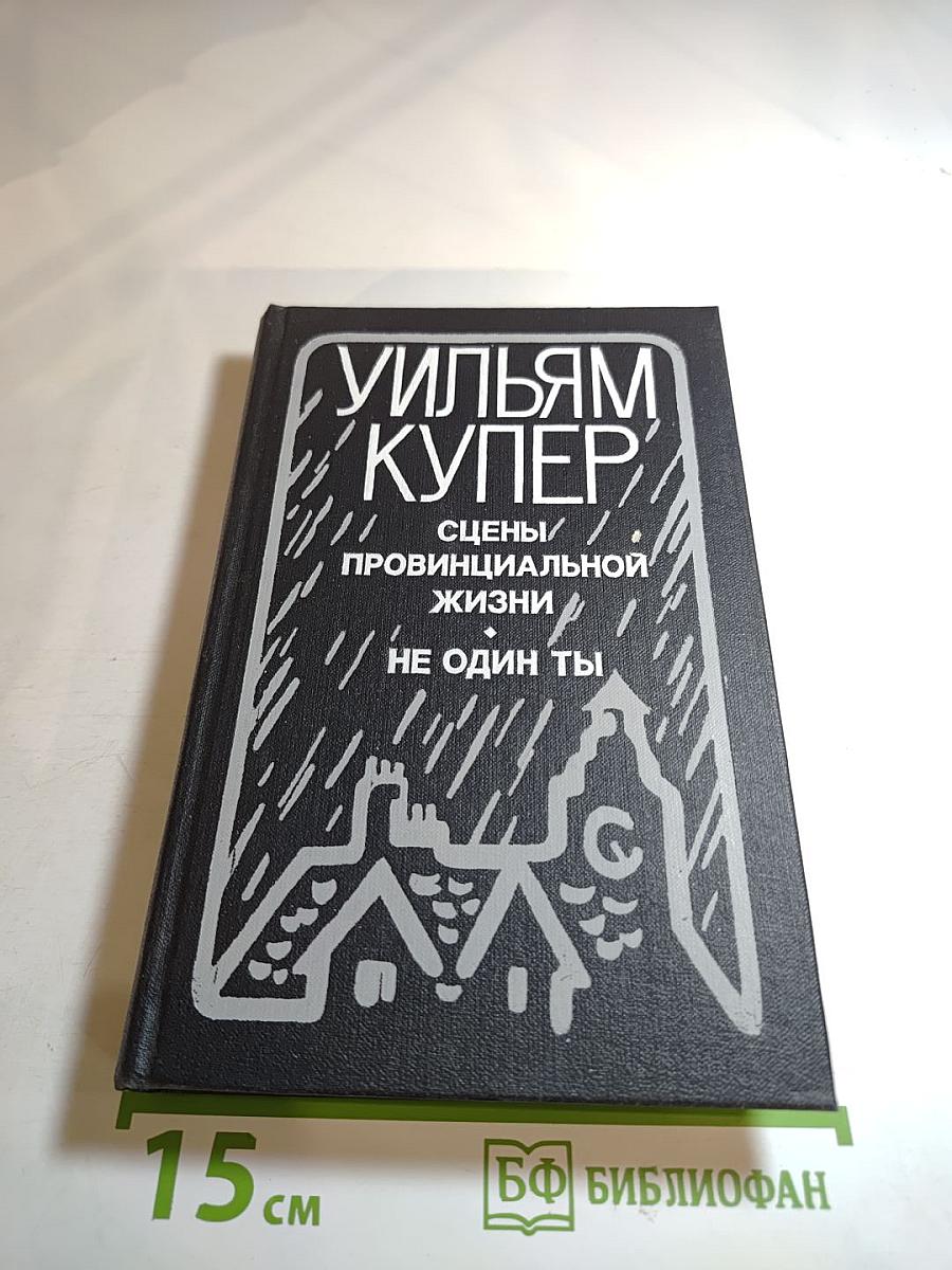 Сцены провинциальной жизни. Не один ты