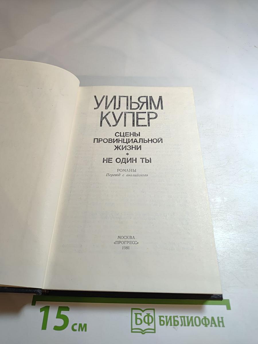 Сцены провинциальной жизни. Не один ты