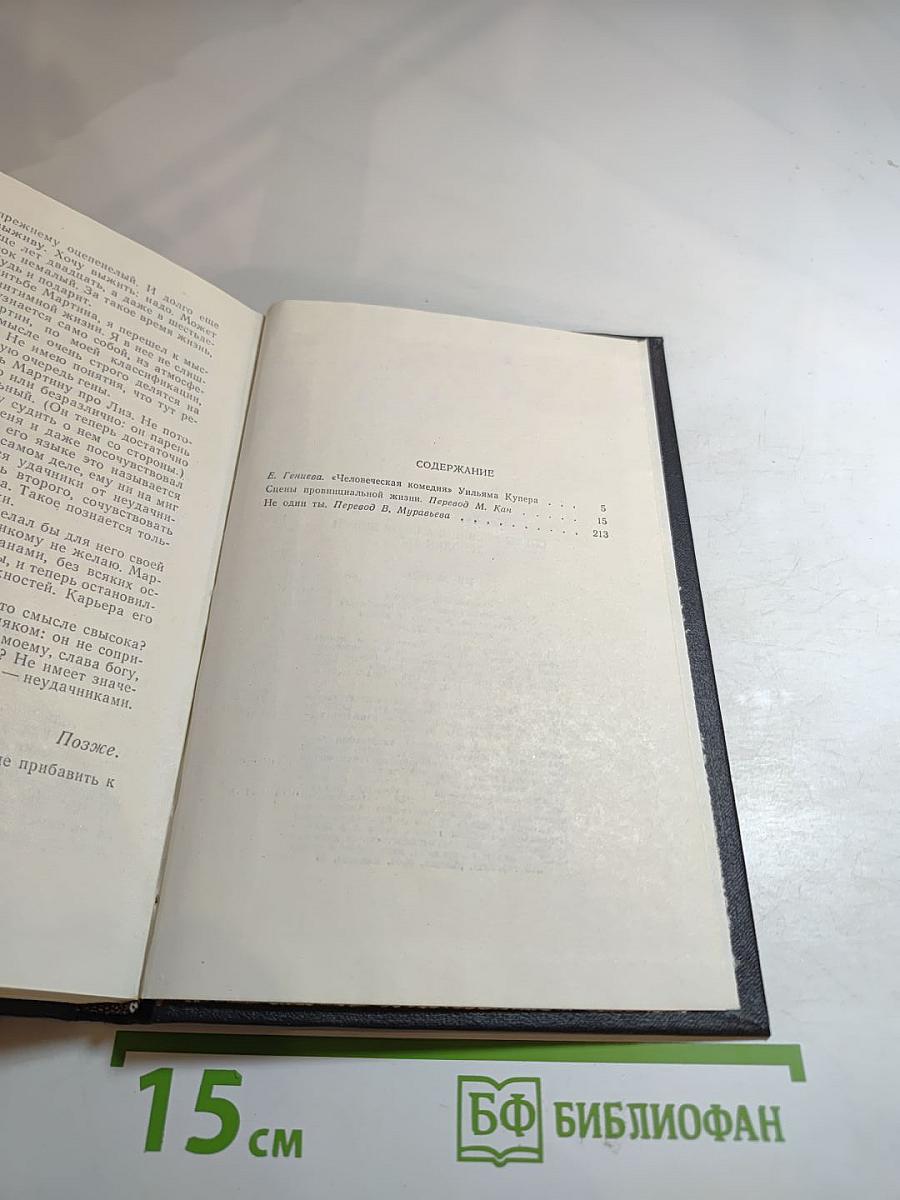 Сцены провинциальной жизни. Не один ты