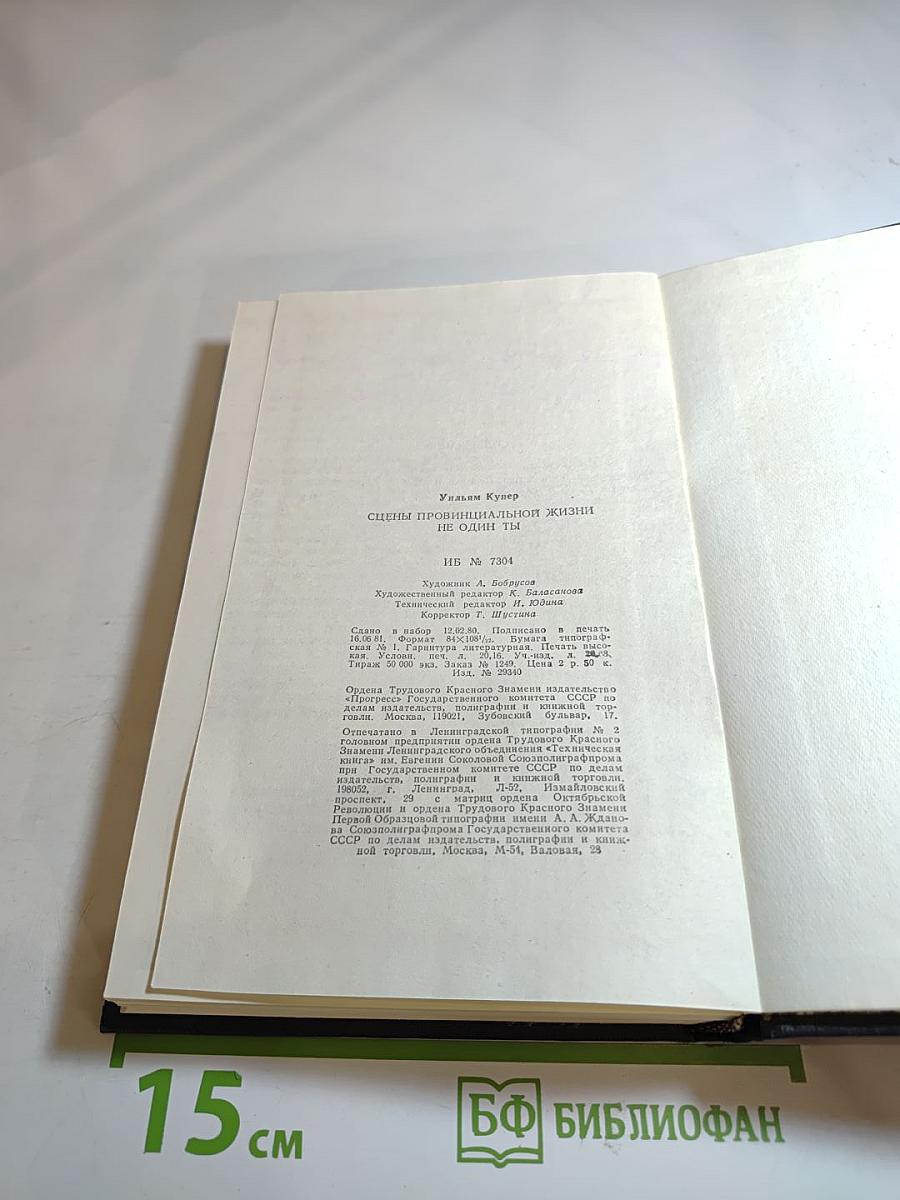 Сцены провинциальной жизни. Не один ты