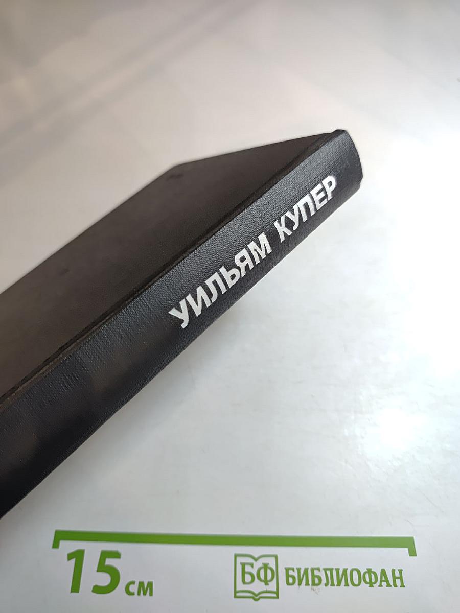 Сцены провинциальной жизни. Не один ты