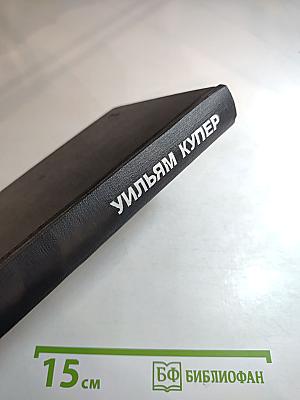 Сцены провинциальной жизни. Не один ты