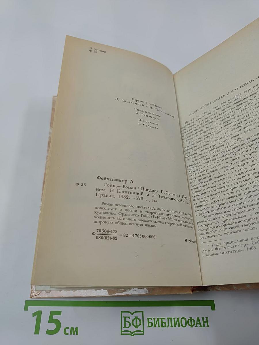 Гойя, или Тяжкий путь познания