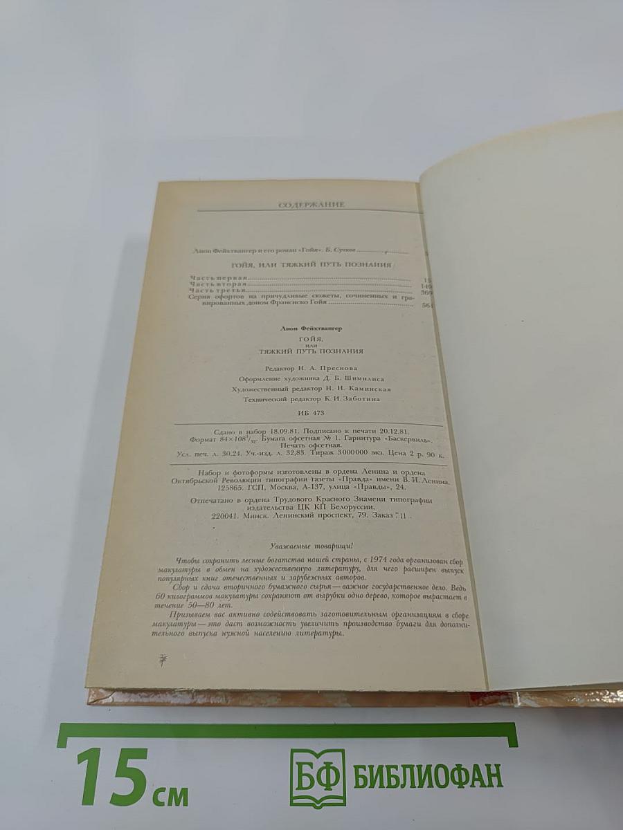 Гойя, или Тяжкий путь познания