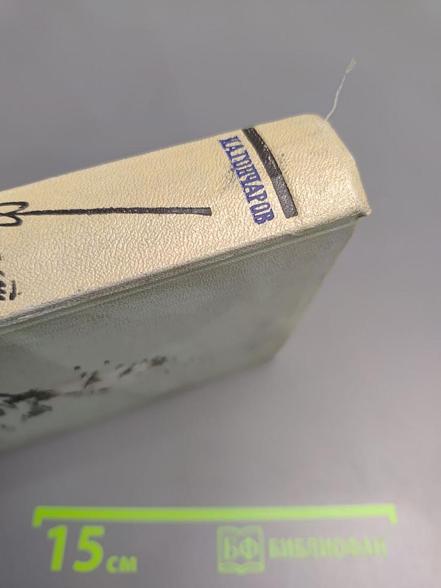 Фрегат «Паллада». Том II