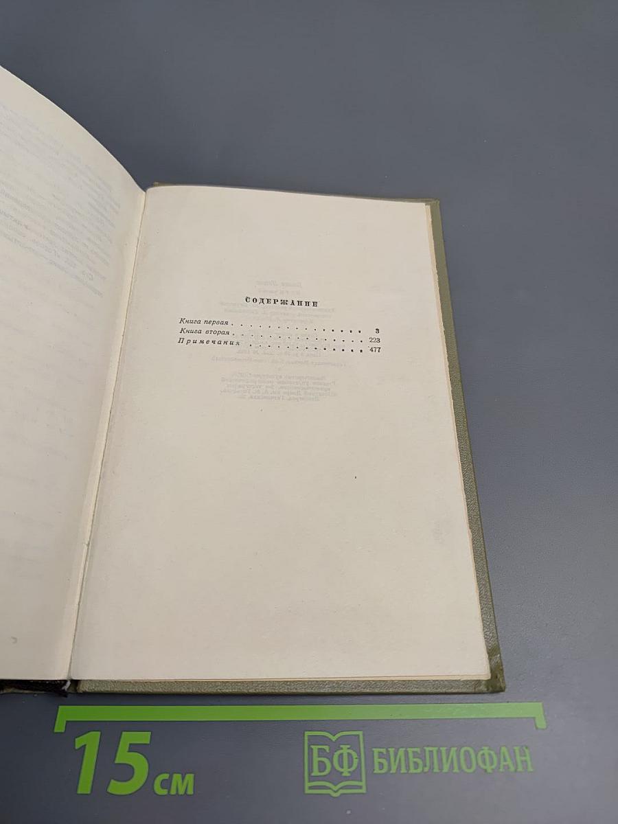 Буря. Роман в трех частях. Часть 1.