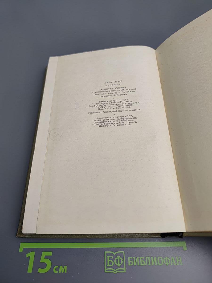 Буря. Роман в трех частях. Часть 1.