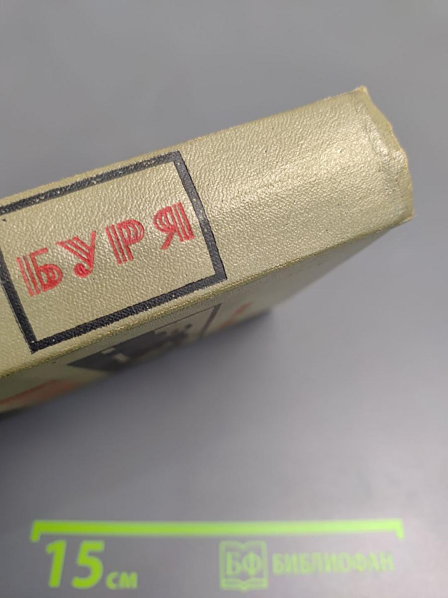 Буря. Роман в трех частях. Часть 1.