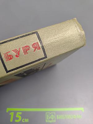 Буря. Роман в трех частях. Часть 1.