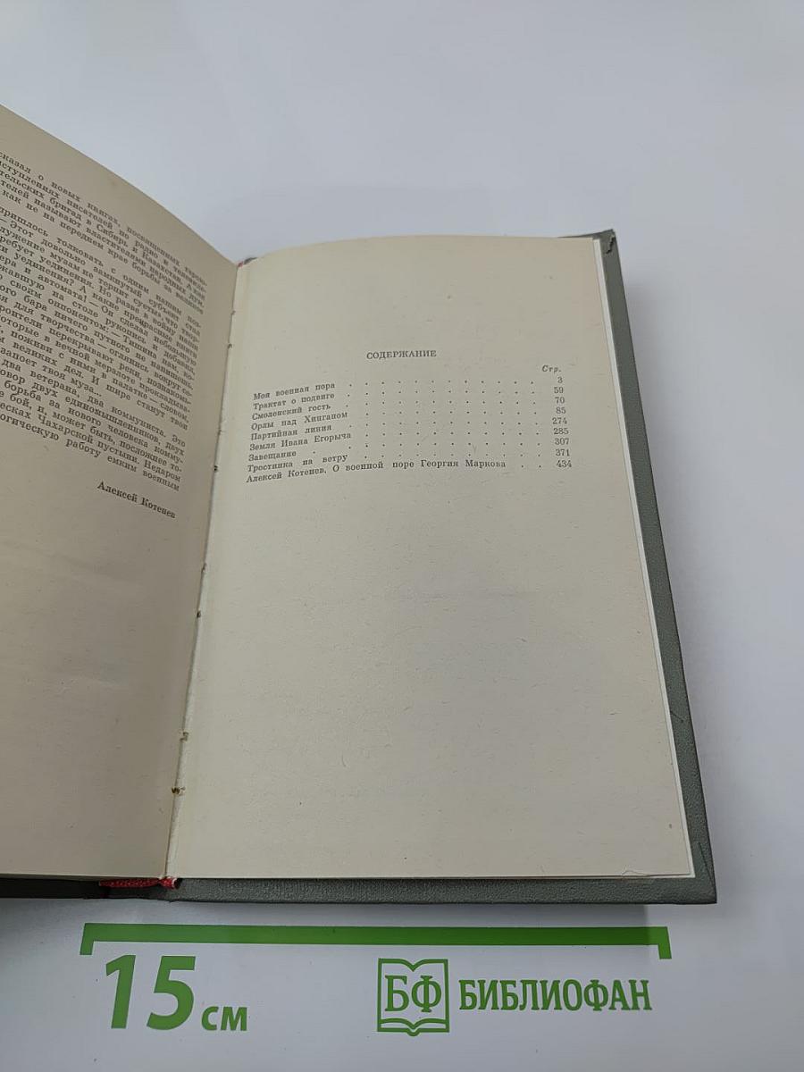 Моя военная пора