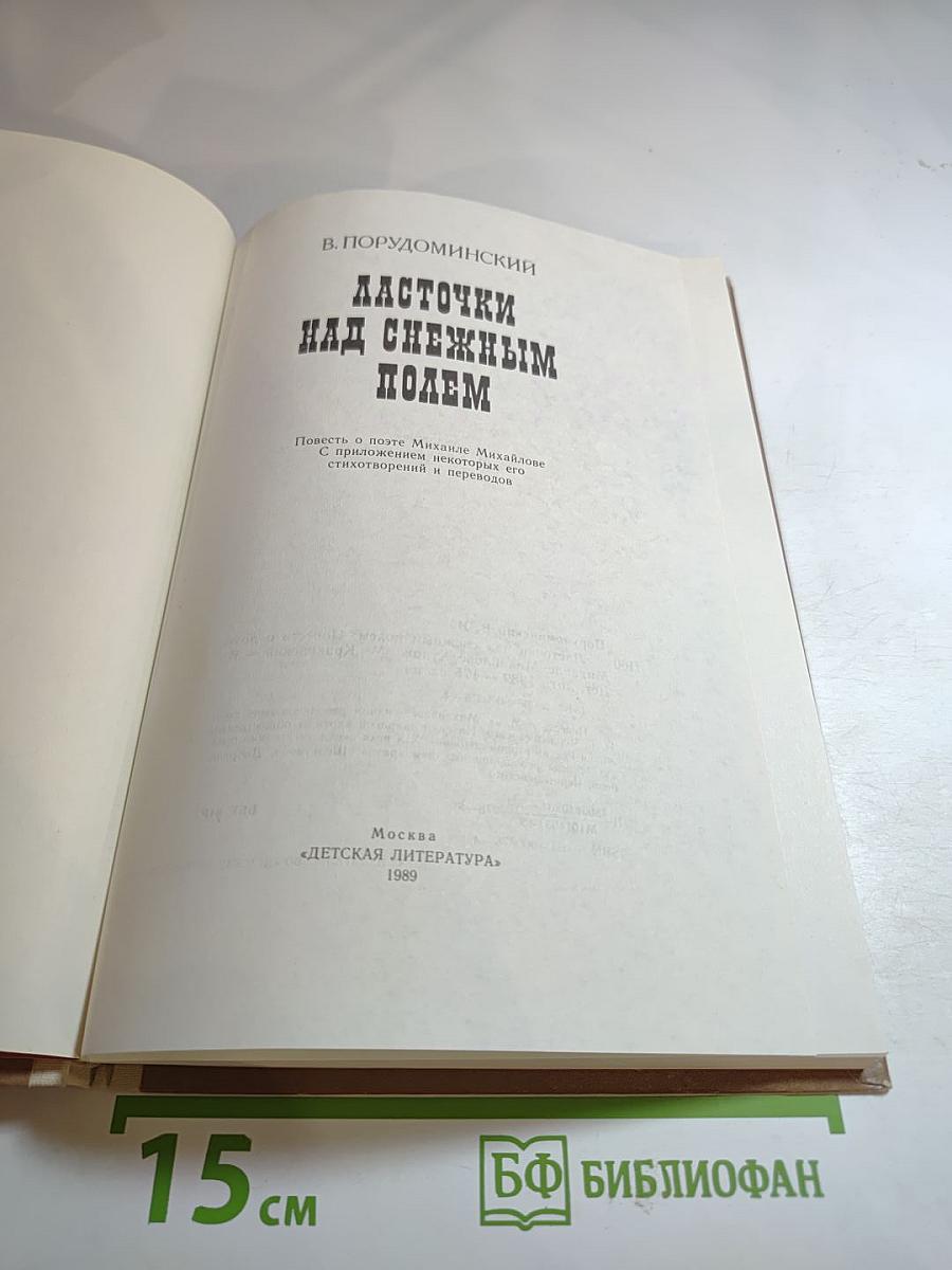 Ласточки над снежным полем