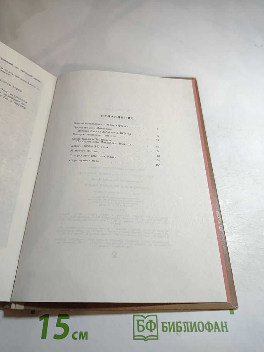 Ласточки над снежным полем