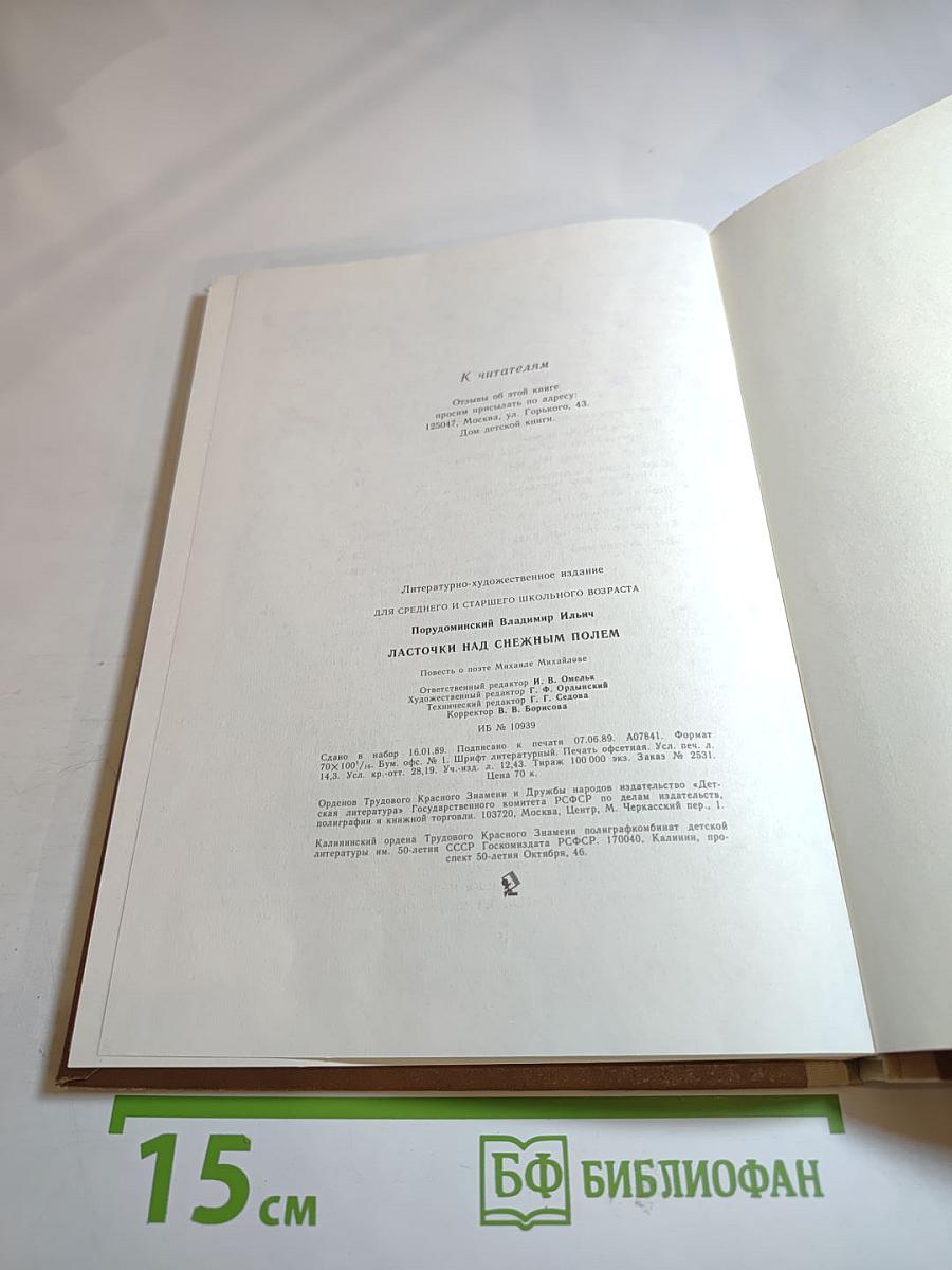 Ласточки над снежным полем