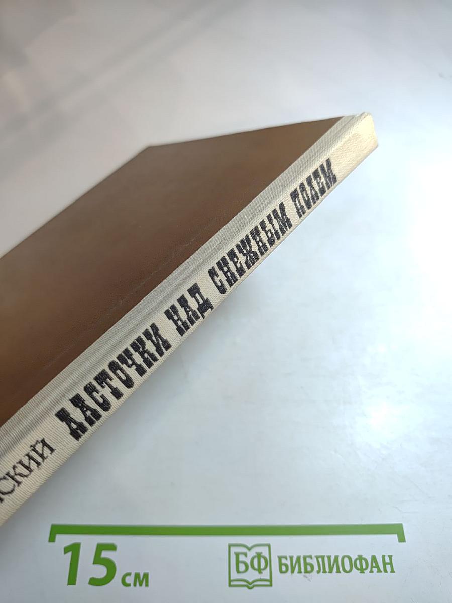 Ласточки над снежным полем