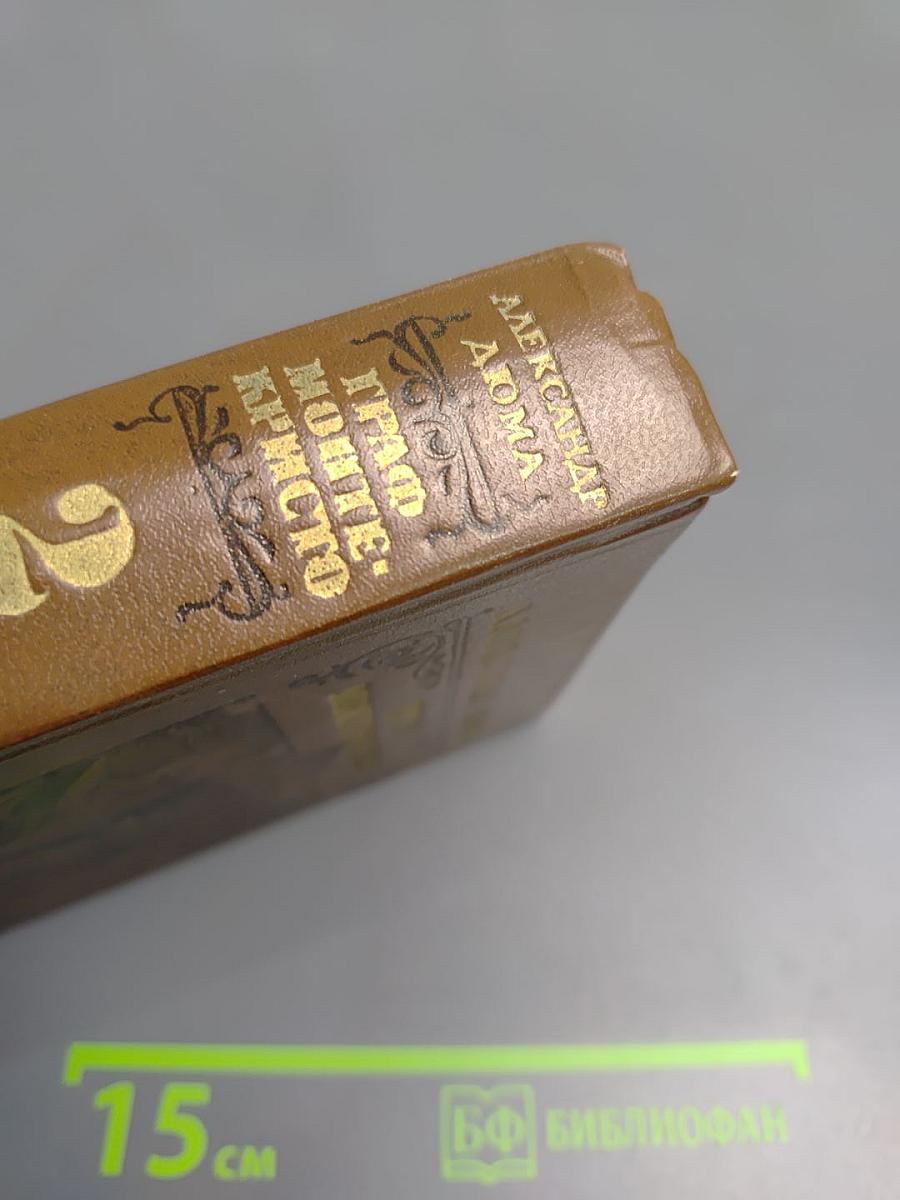 Граф Монте-Кристо. Том 2