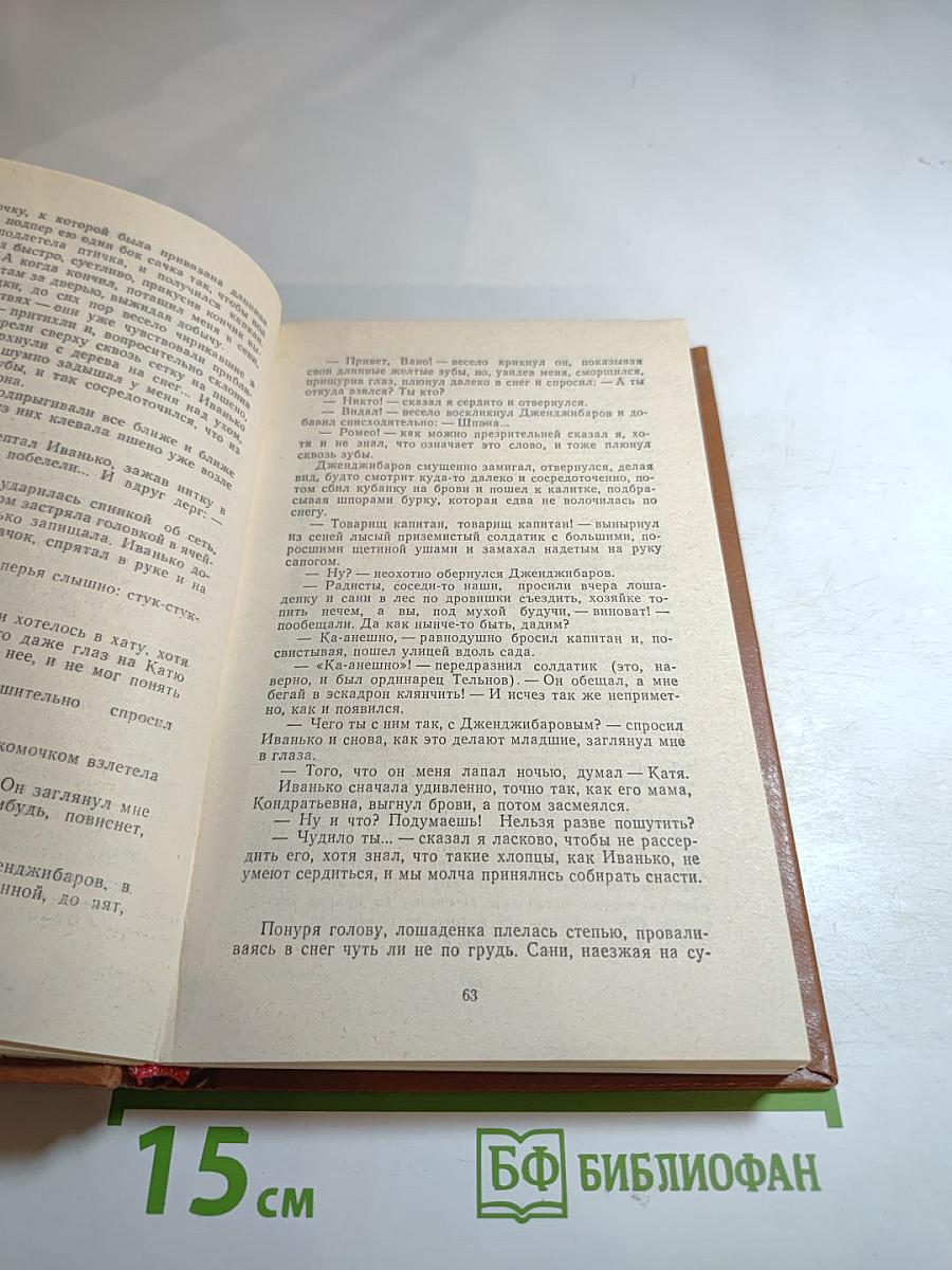 Холодная мята