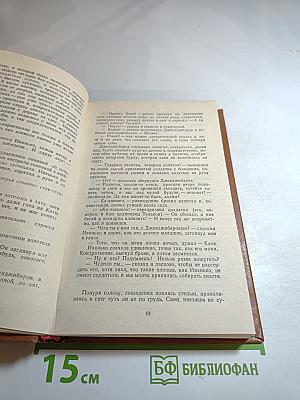 Холодная мята