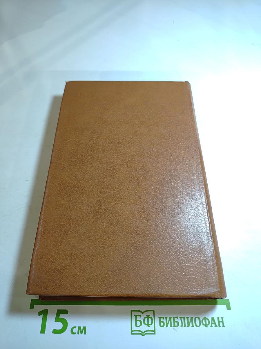 Холодная мята