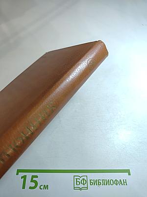 Холодная мята