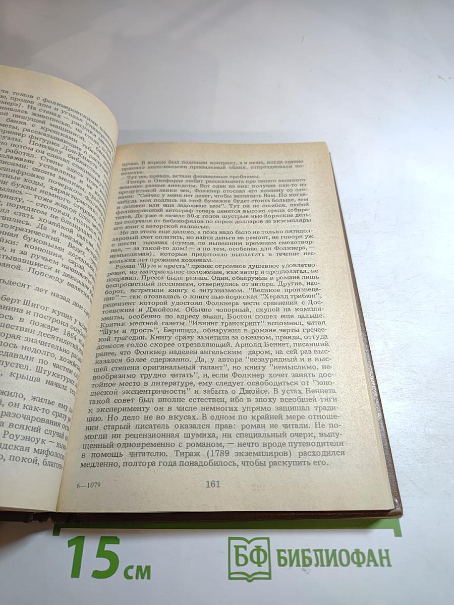 Владелец Йокнапатофы