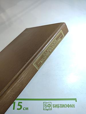 Владелец Йокнапатофы