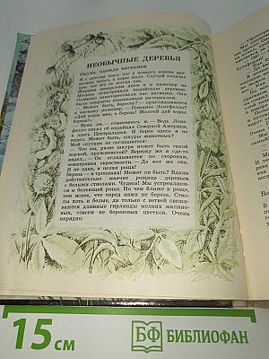 Упрямые башмачки