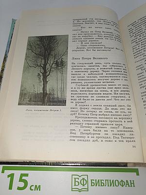 Упрямые башмачки