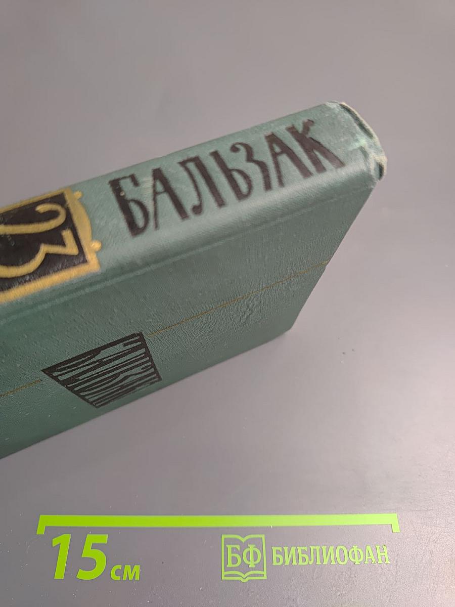 Очерки. Письма. Том 23